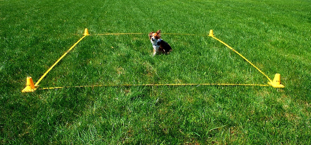 Kúp, obedience-jelölő – 4 darabos készlet