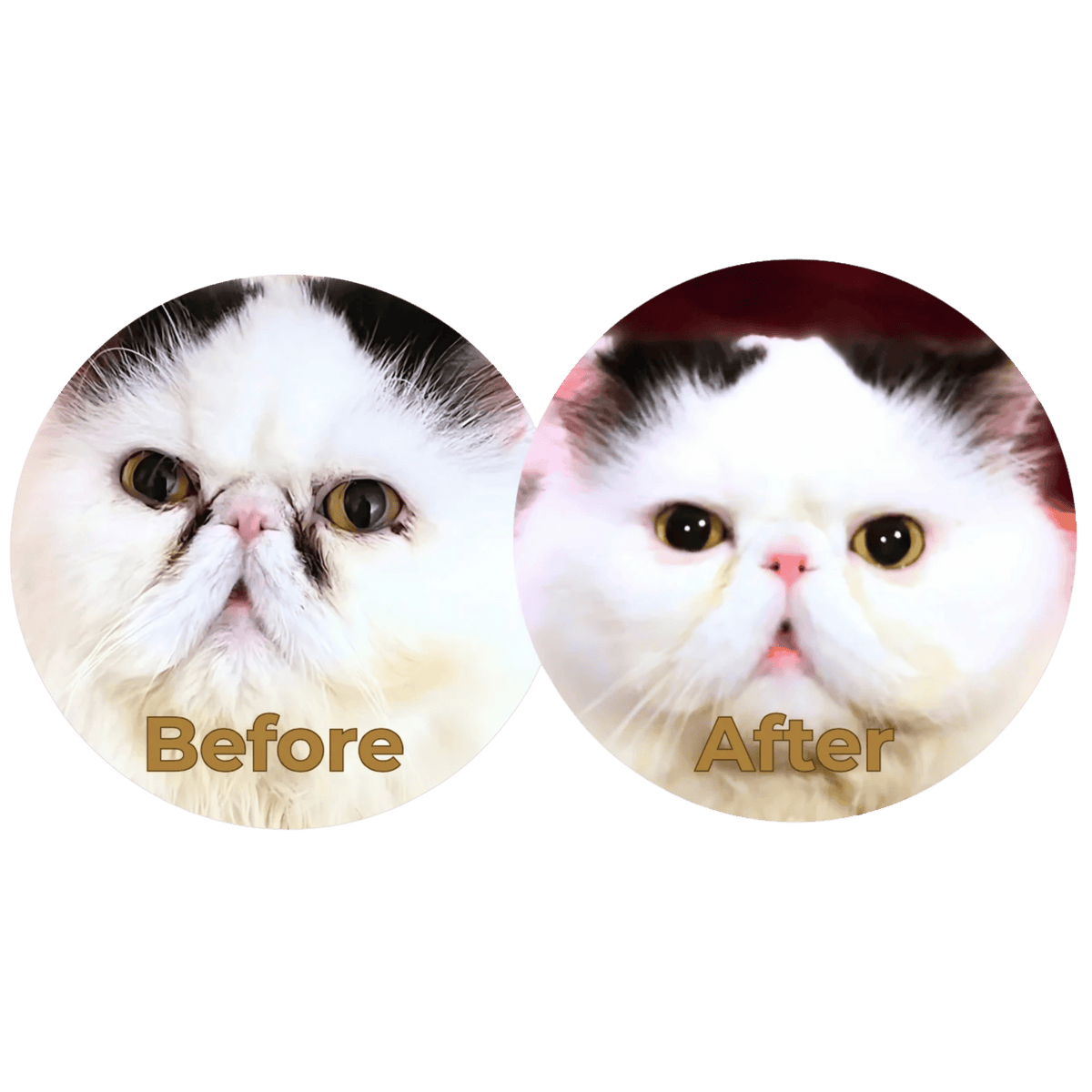 Wink-Eye Powder - Tear Stain and Eye Area Care Powder for Cats and Dogs