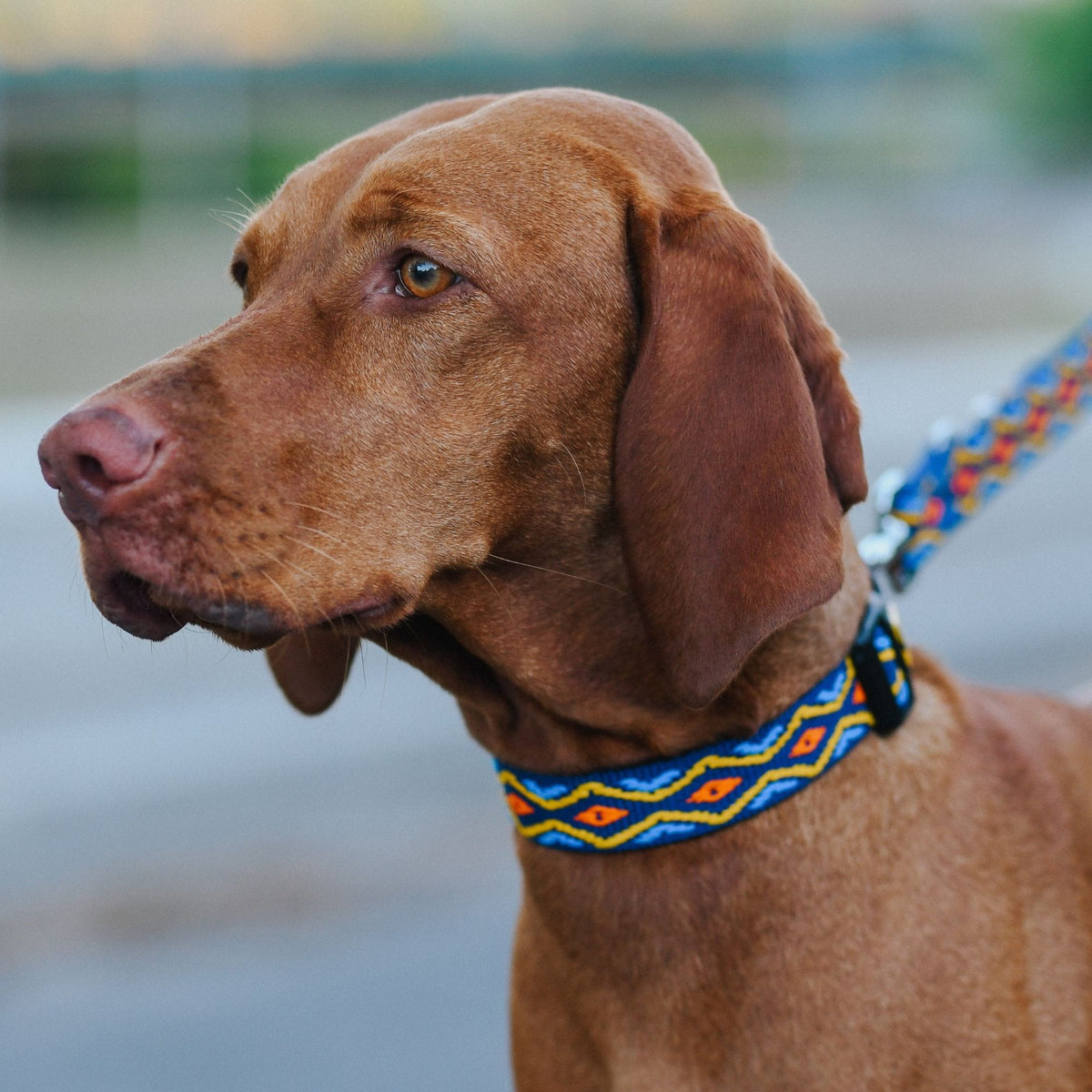 Winnetou Adjustable Collar