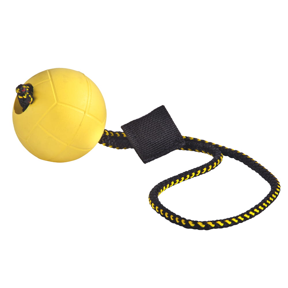 Dingo Gear – Set suport magnetic și minge cu magnet și șnur