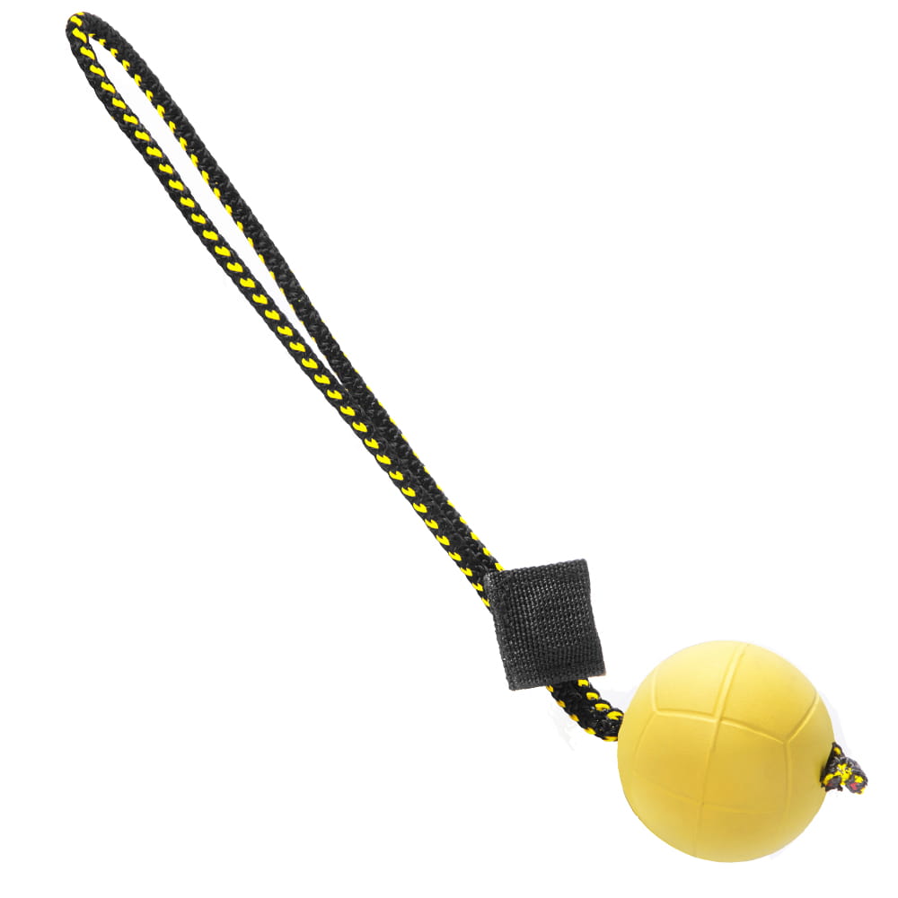 Dingo Gear – Set suport magnetic și minge cu magnet și șnur