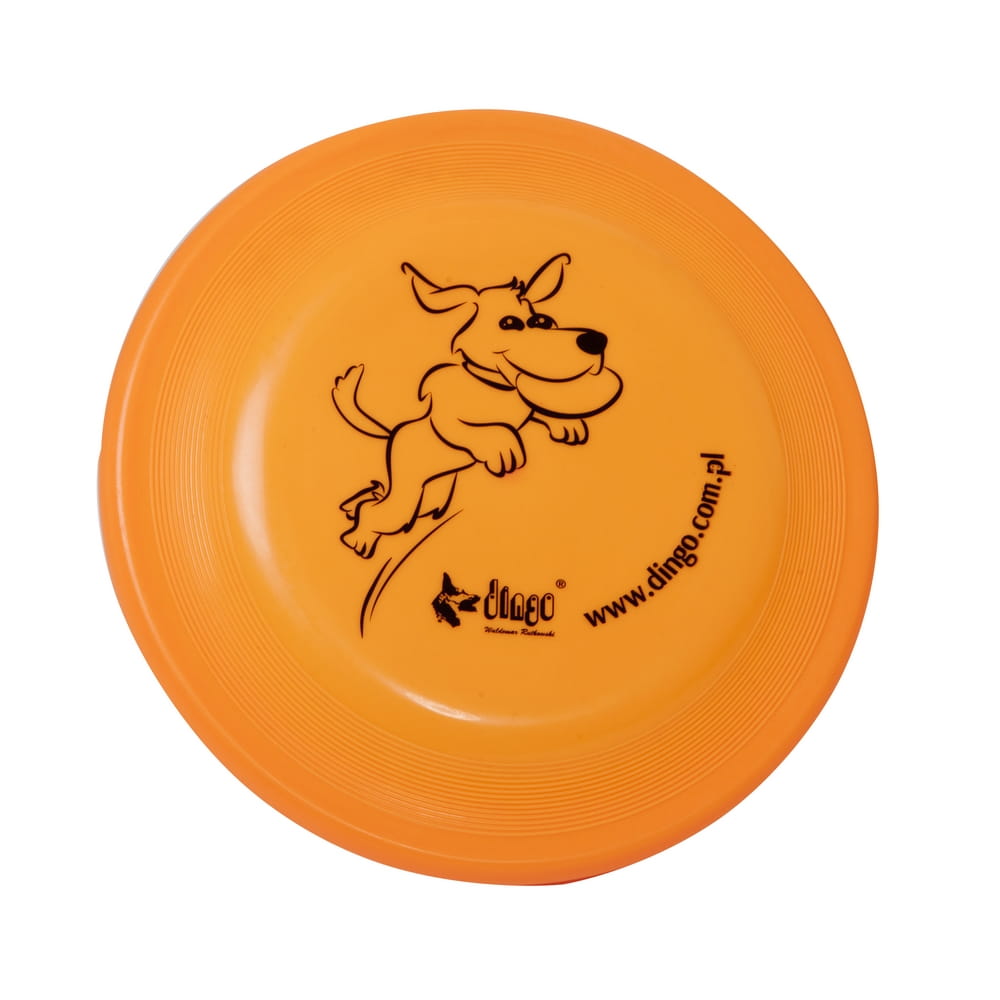 Frisbee