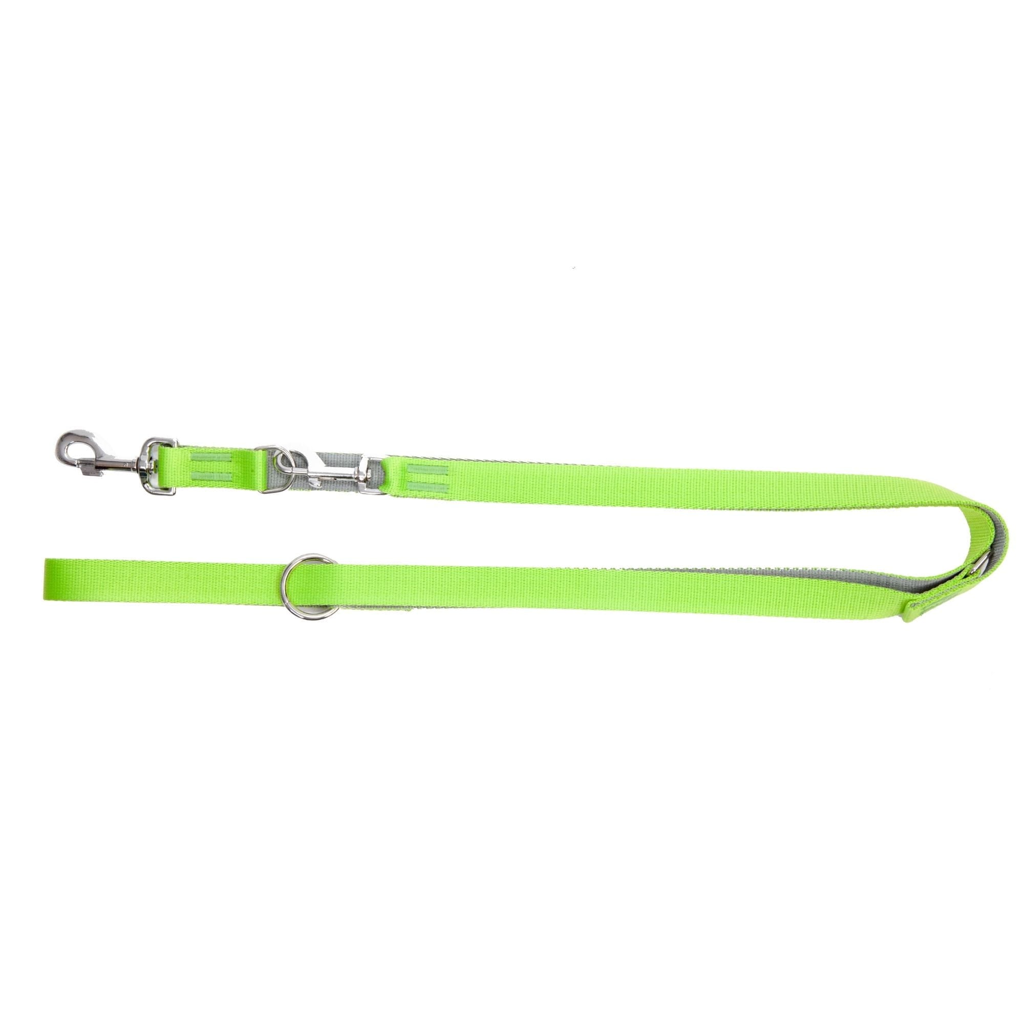 Lesă extensibilă pentru câini Energy Silver