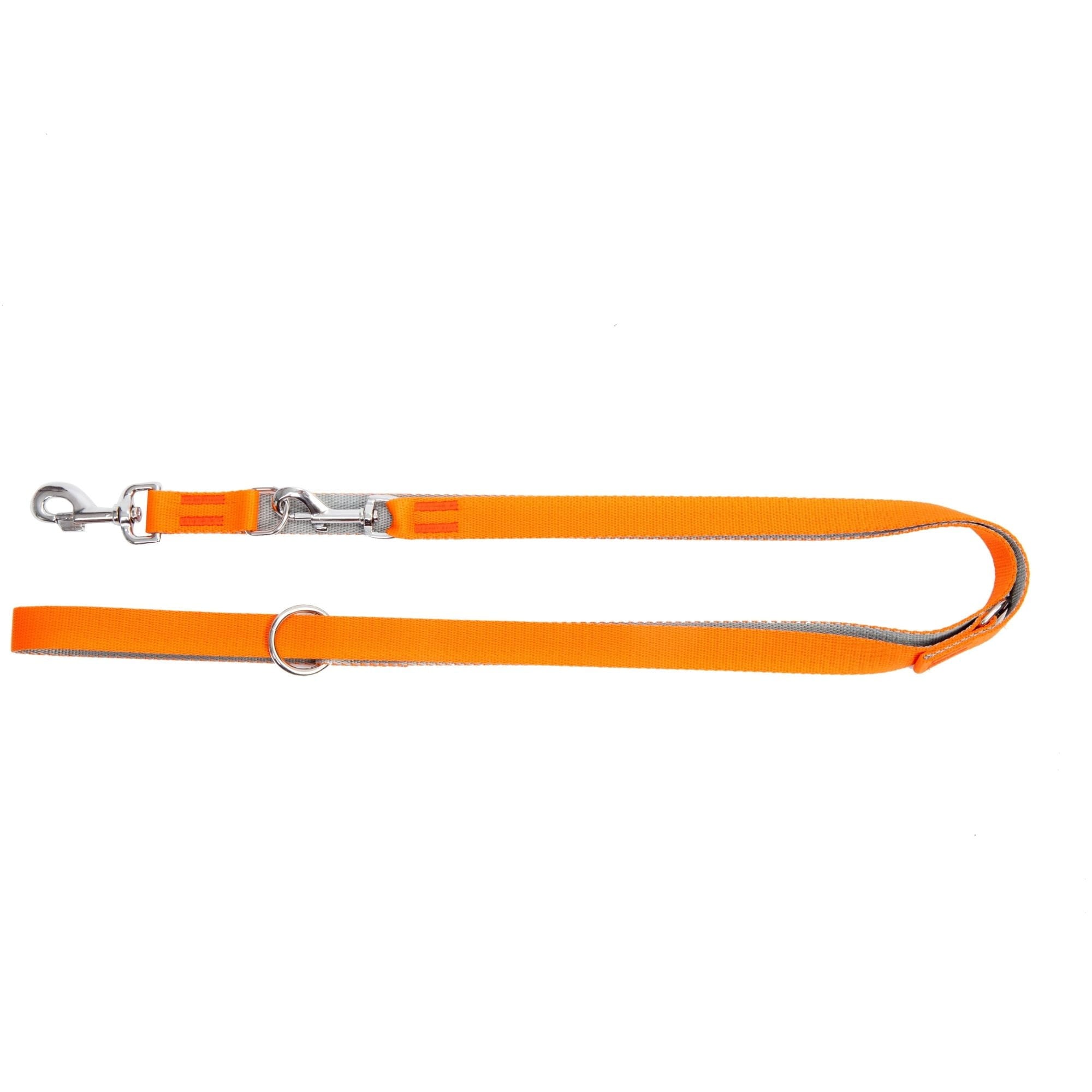 Lesă extensibilă pentru câini Energy Silver