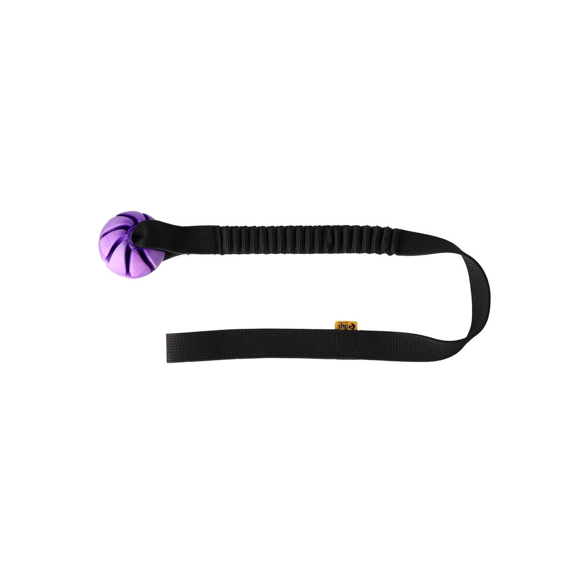 Ball Toy with Bungee Handle