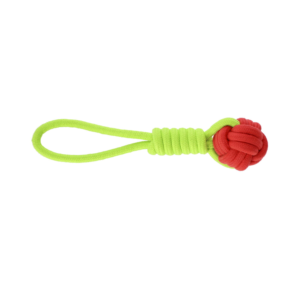 Minge cu mâner întărit pentru câini ENERGY