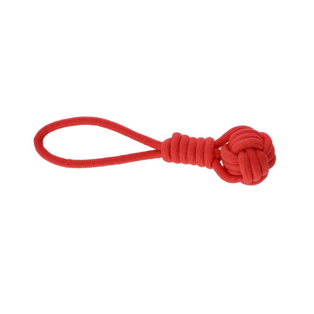 Minge cu mâner întărit pentru câini ENERGY