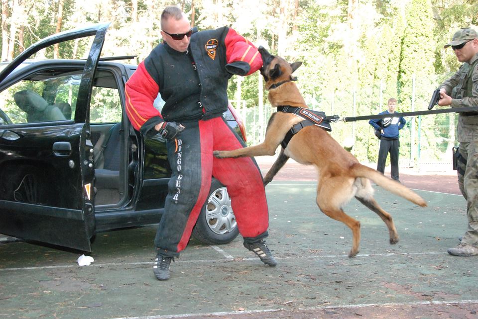 Dingo Gear – Costum de protecție completă pentru mușcătură (full bite)