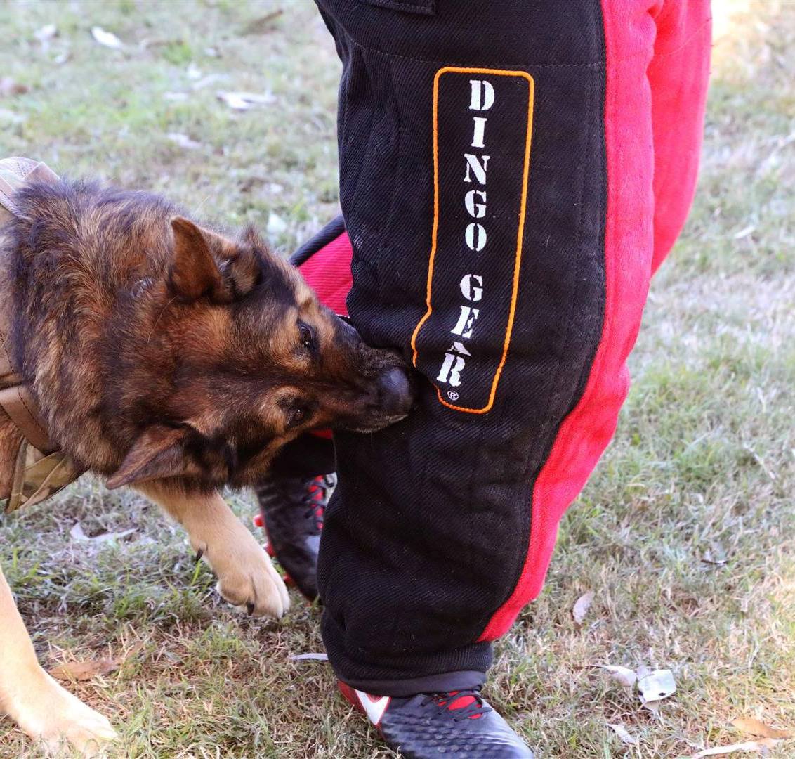 Dingo Gear – Costum de protecție completă pentru mușcătură (full bite)