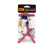 BASIC YORK Leash + Harness Set