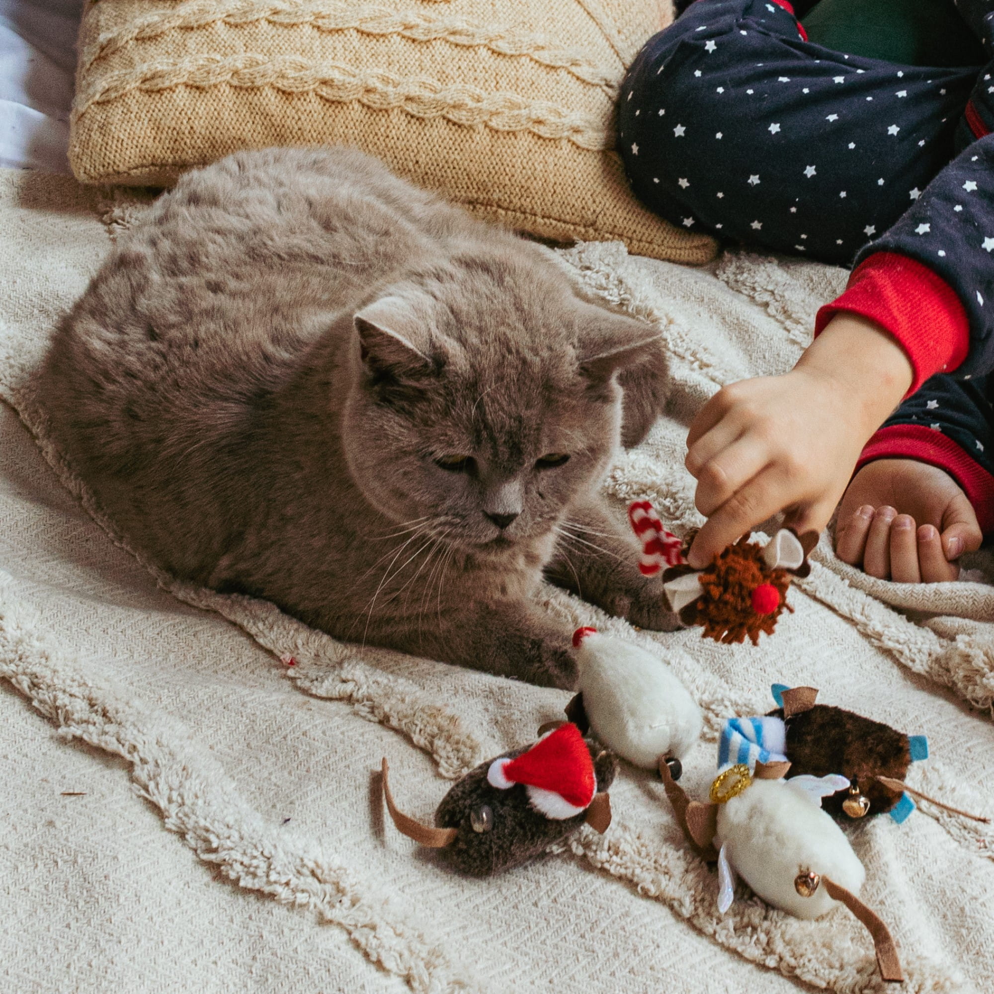 Șoricel de crăciun pentru pisici rudolf