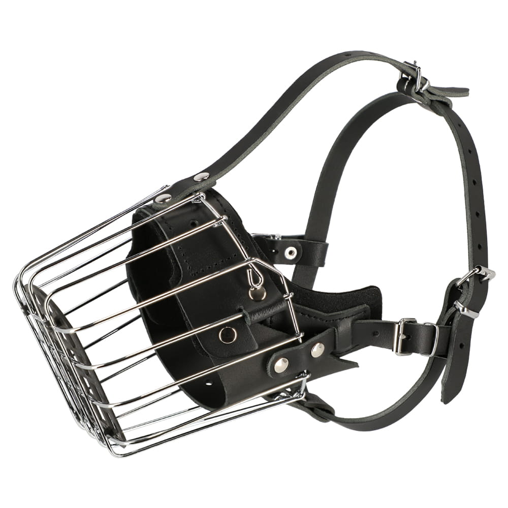 Dingo Gear – Botniță metalică întărită pentru Rottweiler