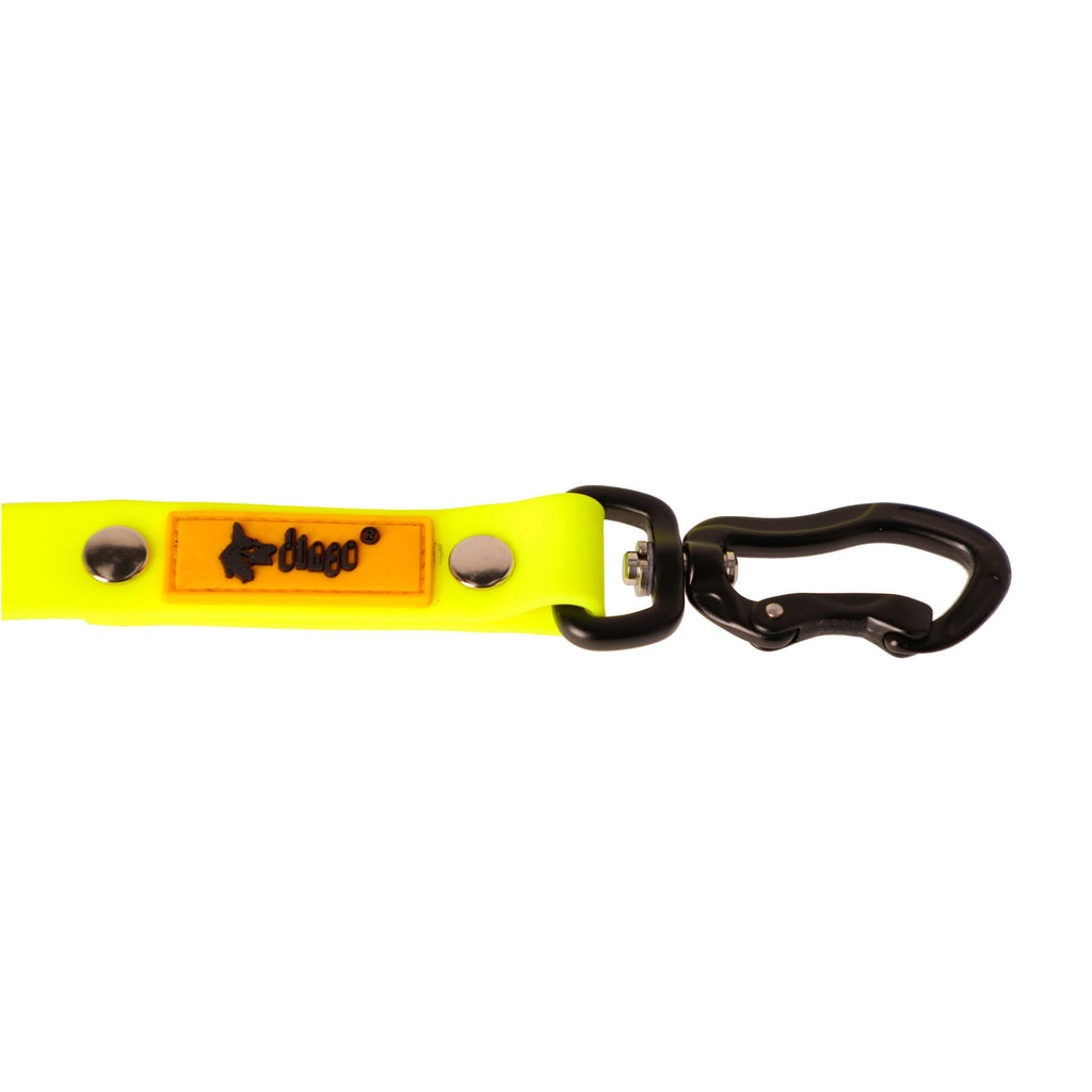 Training leash flex with handle