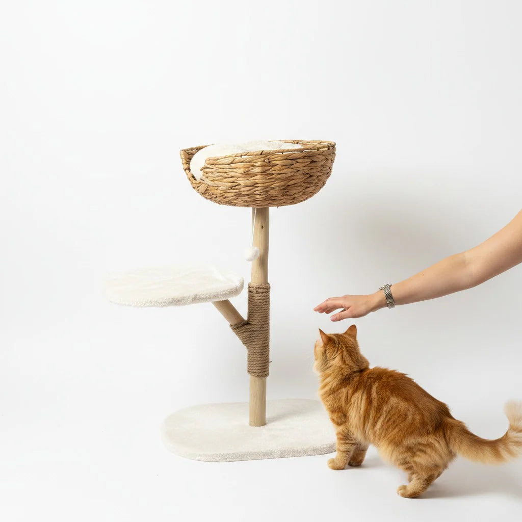 WOVEN SINGLE NEST