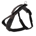 Dingo Gear – Ham universal ultra-ușor pentru câini