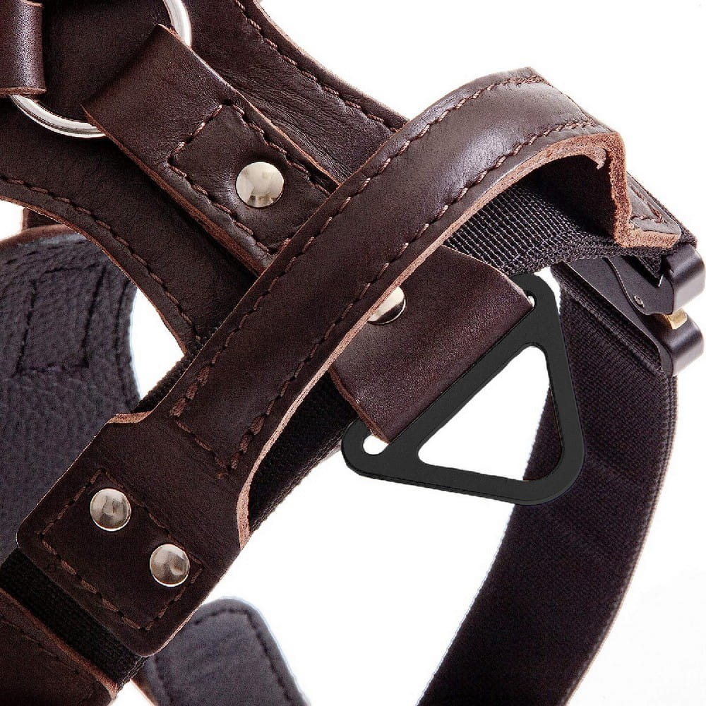 Dingo Gear – Ham profesional din piele cu cataramă COBRA – rezistență, siguranță, fiabilitate