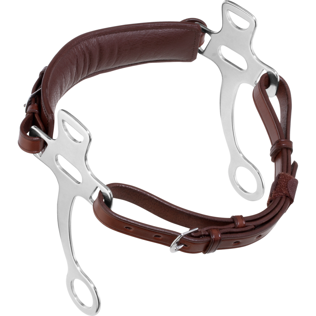 Hackamore