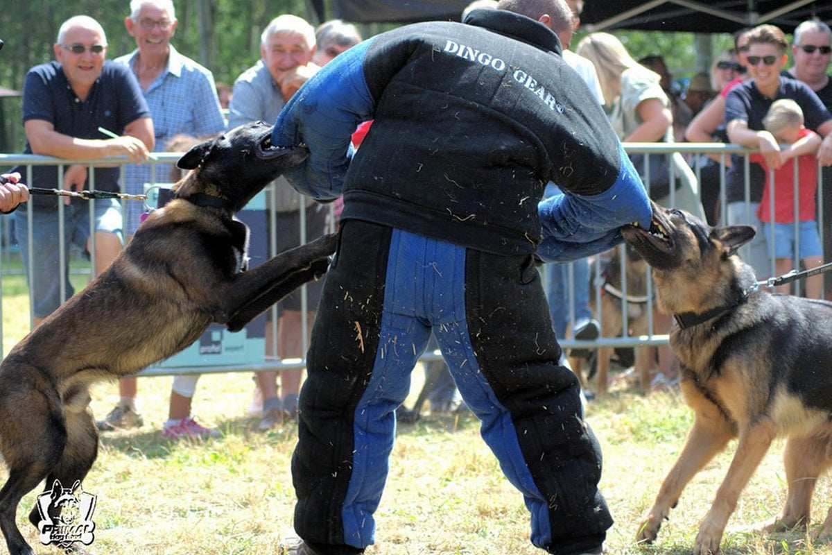Dingo Gear – Costum de protecție completă pentru mușcătură (full bite)