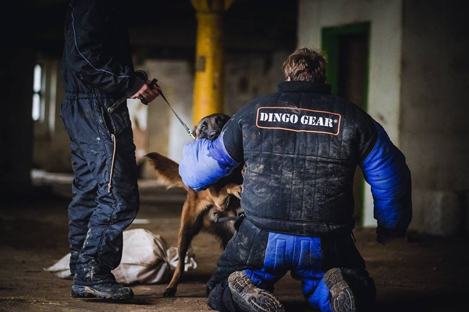 Dingo Gear – Costum de protecție completă pentru mușcătură (full bite)