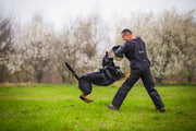 Dingo Gear – Pantaloni de dresaj ușori din Cordura