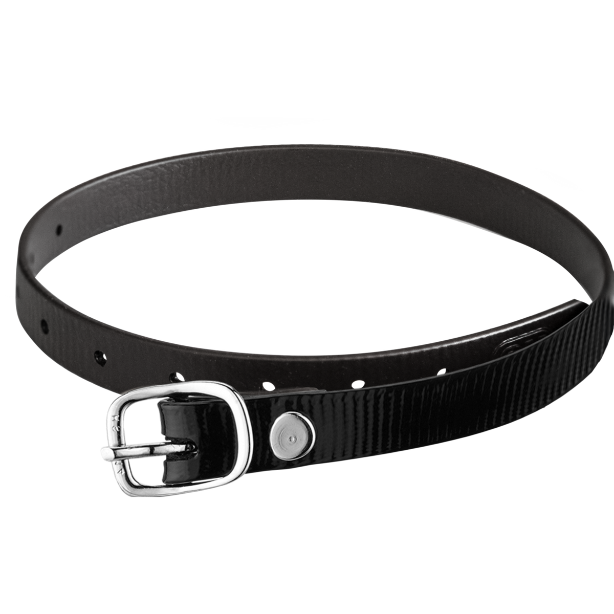Curele pentru pinteni 45 cm BioThane®, negru lucios