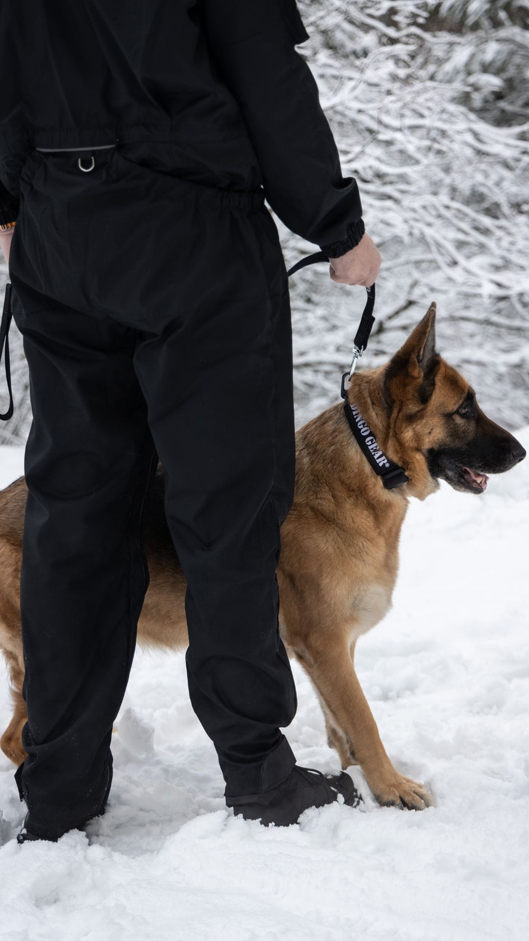 Dingo Gear COMFORT – salopetă de lucru din rip-stop