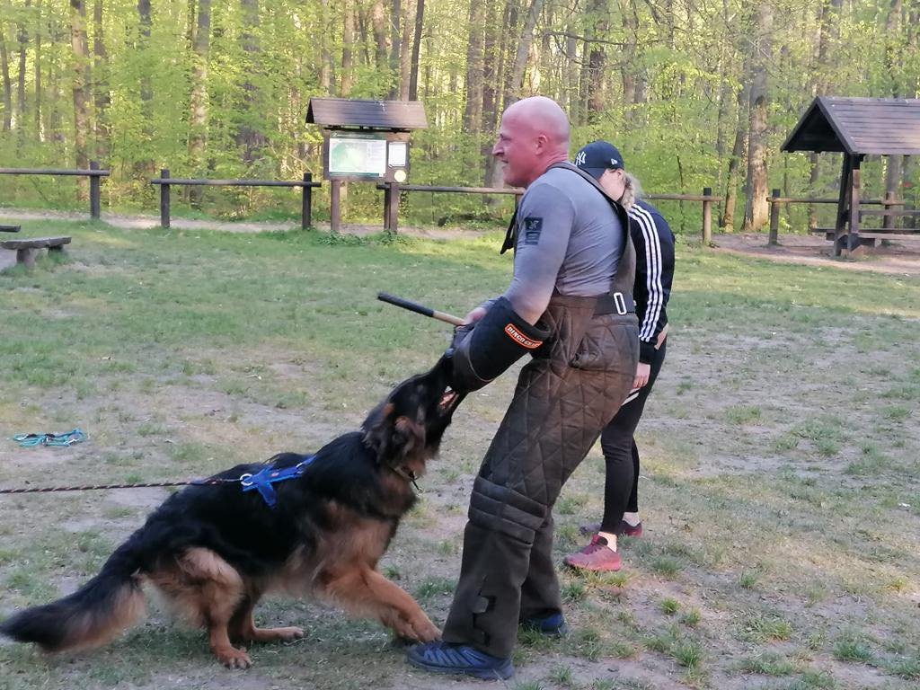 Dingo Gear – Pantaloni de dresaj ușori din Cordura