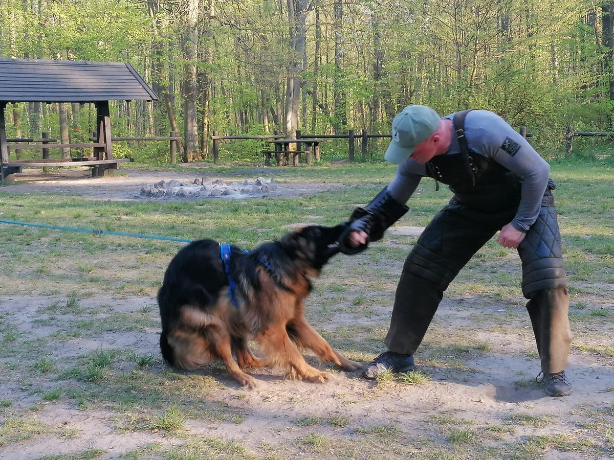 Dingo Gear – Pantaloni de dresaj ușori din Cordura