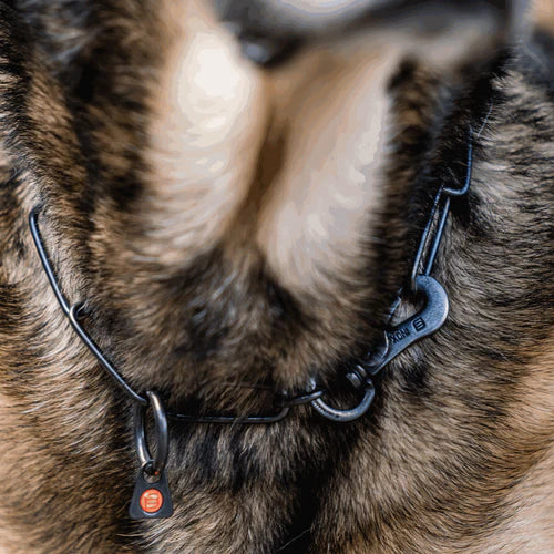 Collar, long links, adjustable - with SPRENGER hook - Stainless steel black, 3.0 mm