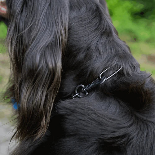 Collar, long links, adjustable - with SPRENGER hook - Stainless steel black, 3.0 mm