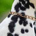 Guler Martingale, mediu, cu lanț de asamblare – CUROGAN, 3,0 mm