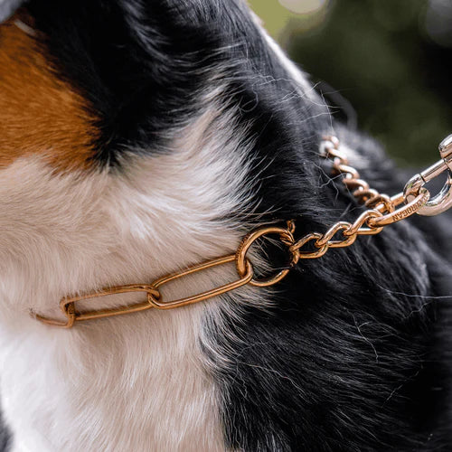 Martingale fojtó nyakörv – CUROGAN, 4,0 mm