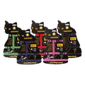 Macska hámszett „kocurro”