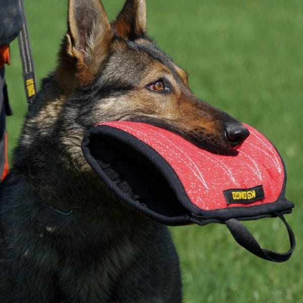 Dingo Gear – Pernă de mușcătură din Nylcot pentru pui
