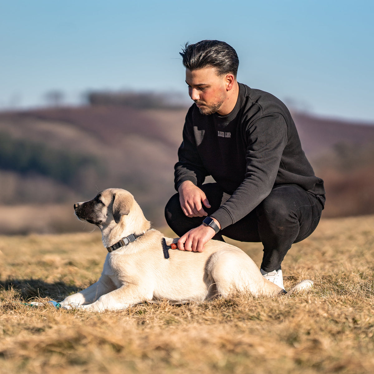 Greblă pentru câini – acoperită cu oțel, 1 rând