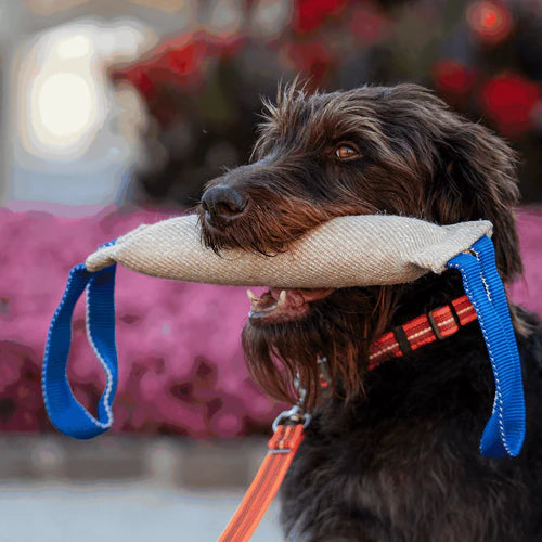 Bite Tug Sprenger – Iută