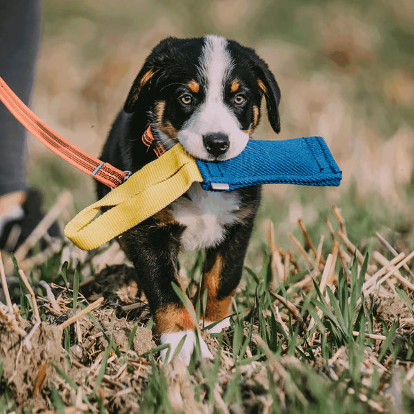 Jucărie de mușcat Sprenger (Bite Tug)