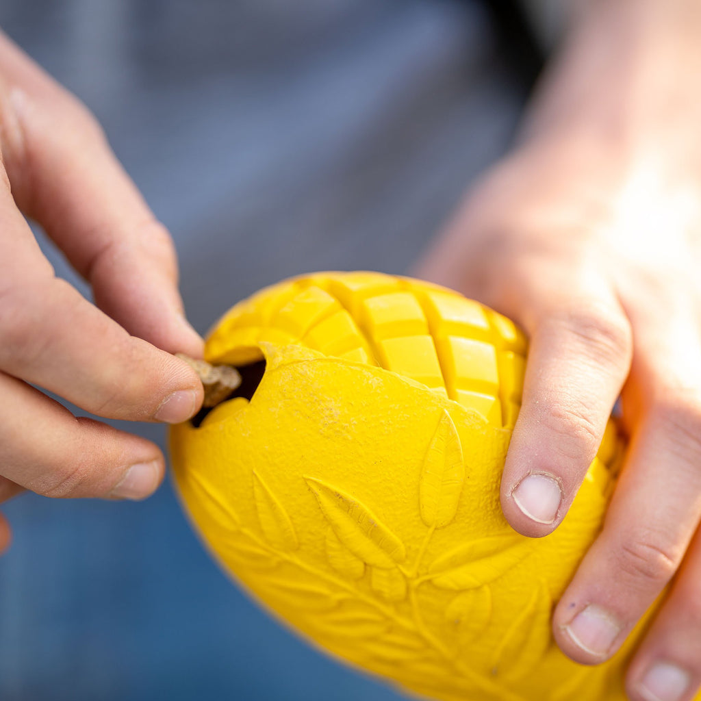 Sprenger FRUIT CHALLENGE „Mangó” kutyajáték