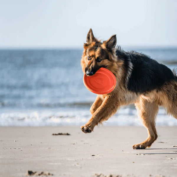 Jucărie pentru câini Sprenger – Frisbee
