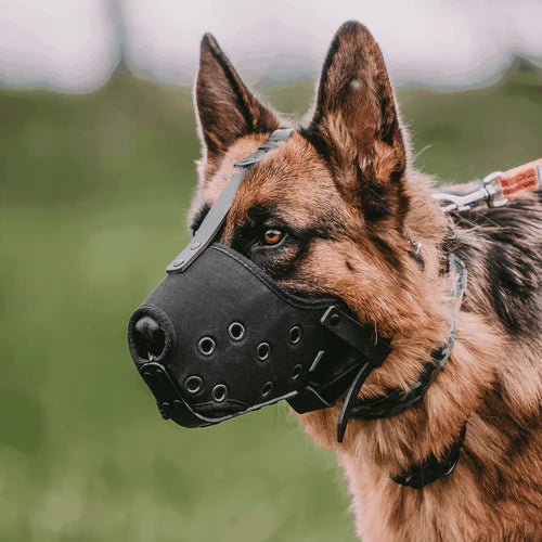 Botniță Sprenger – Cordura