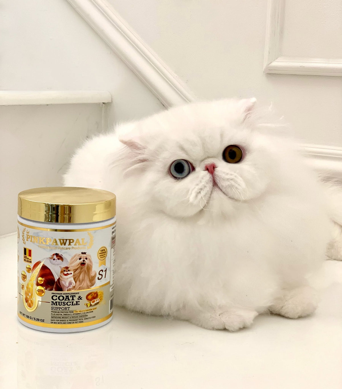 Coat & Muscle Support - Supplement for Coat, Skin and Muscle Mass