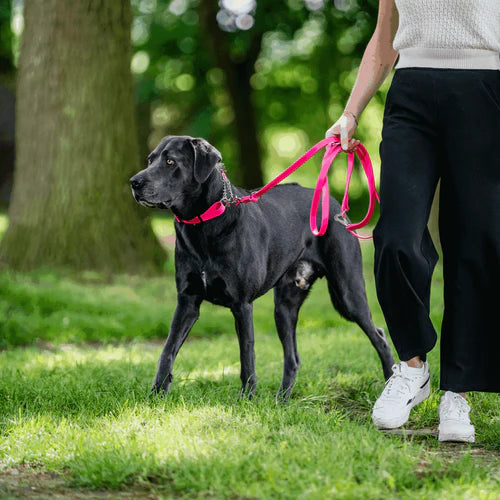 Sprenger BioThane® kutyapóráz, 3 irányban állítható, 2,3 m