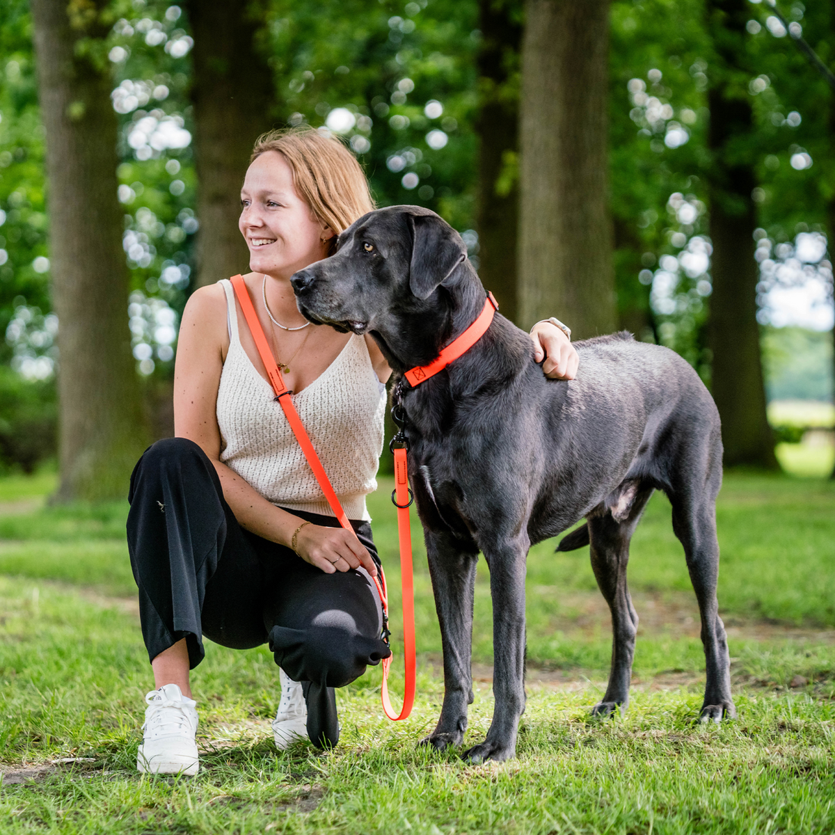 BioThane® Adjustable Martingale Collar 40–65 cm