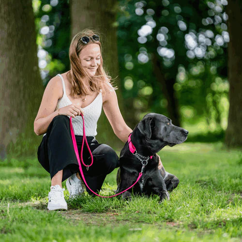 BioThane® póráz kutyáknak, 1,2 m Sprenger