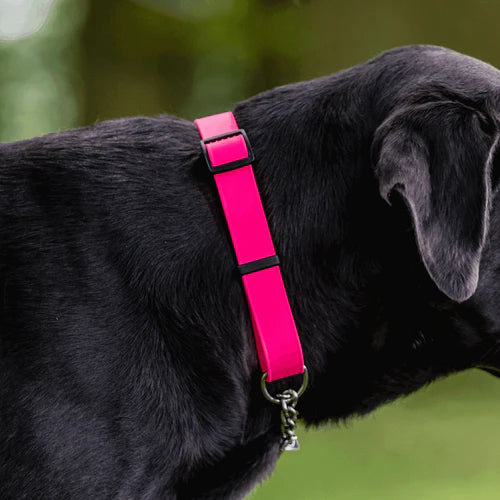 BioThane® Adjustable Martingale Collar 40–65 cm