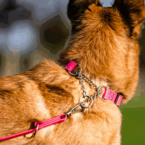 BioThane® Adjustable Martingale Collar 40–65 cm