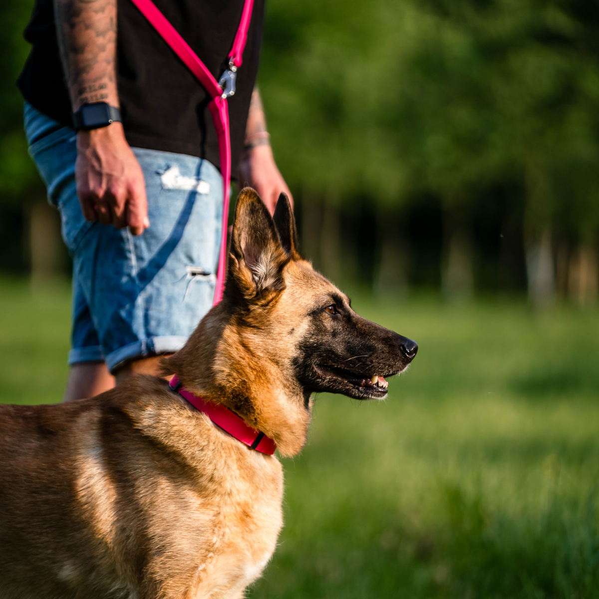 BioThane® Adjustable Martingale Collar 40–65 cm