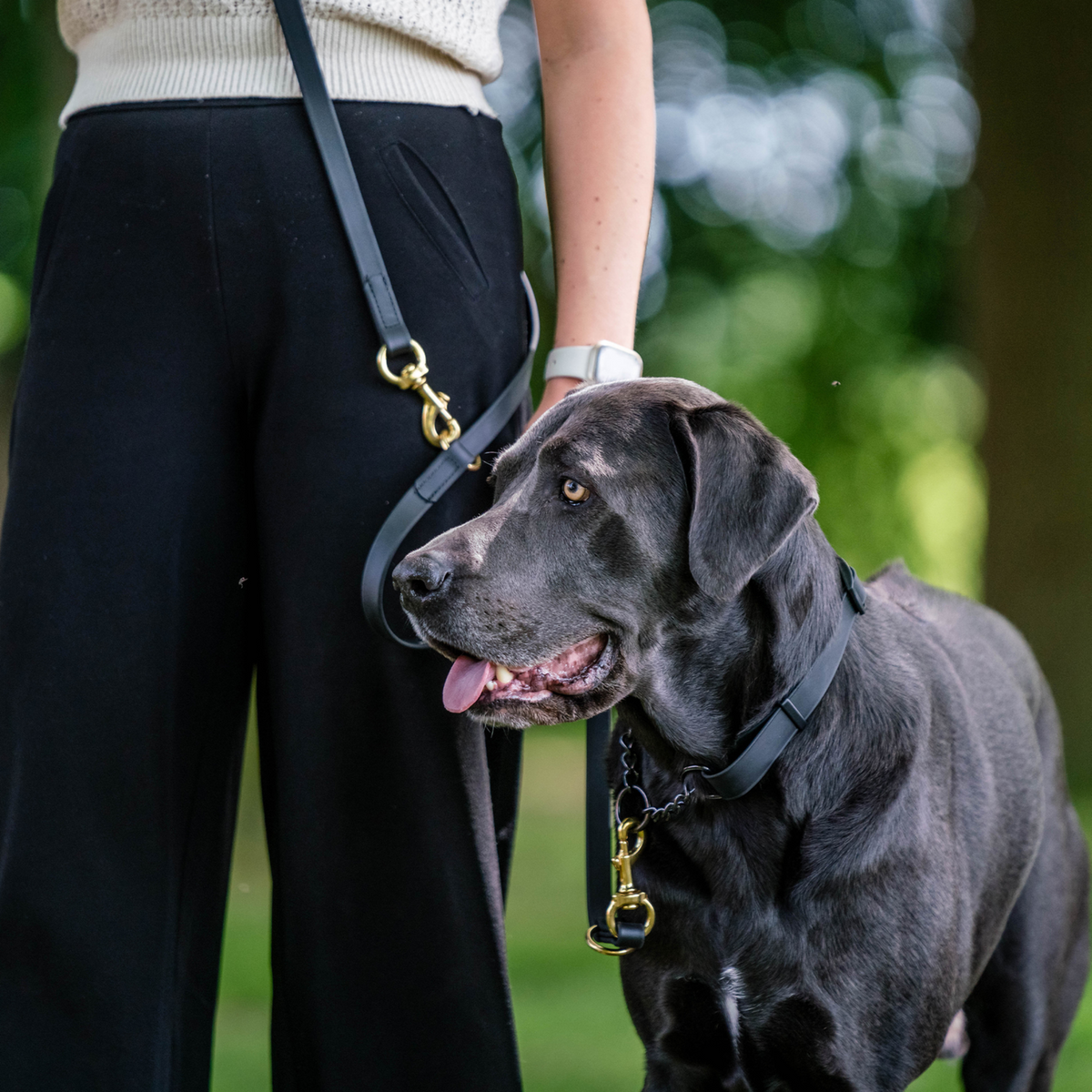 BioThane® Adjustable Martingale Collar 40–65 cm