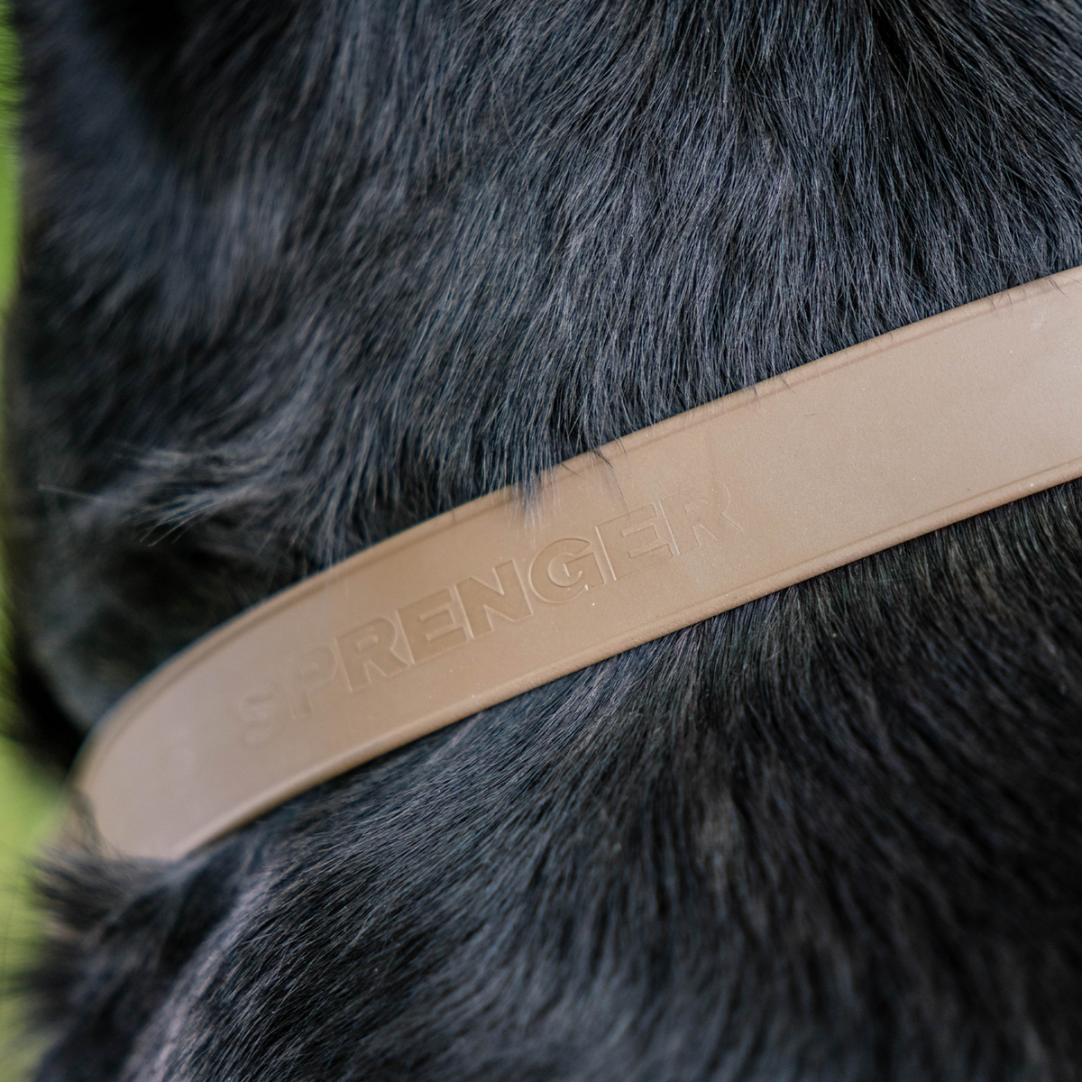 BioThane® Adjustable Martingale Collar 40–65 cm