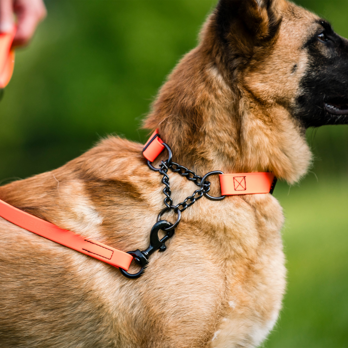 BioThane® Adjustable Martingale Collar 40–65 cm